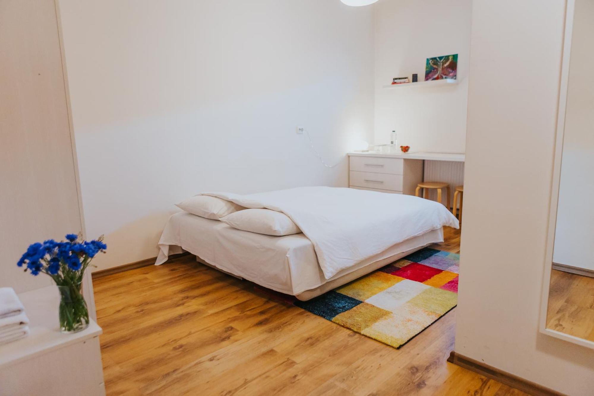 Camelia'S Cozy Place Baia Mare Exterior photo