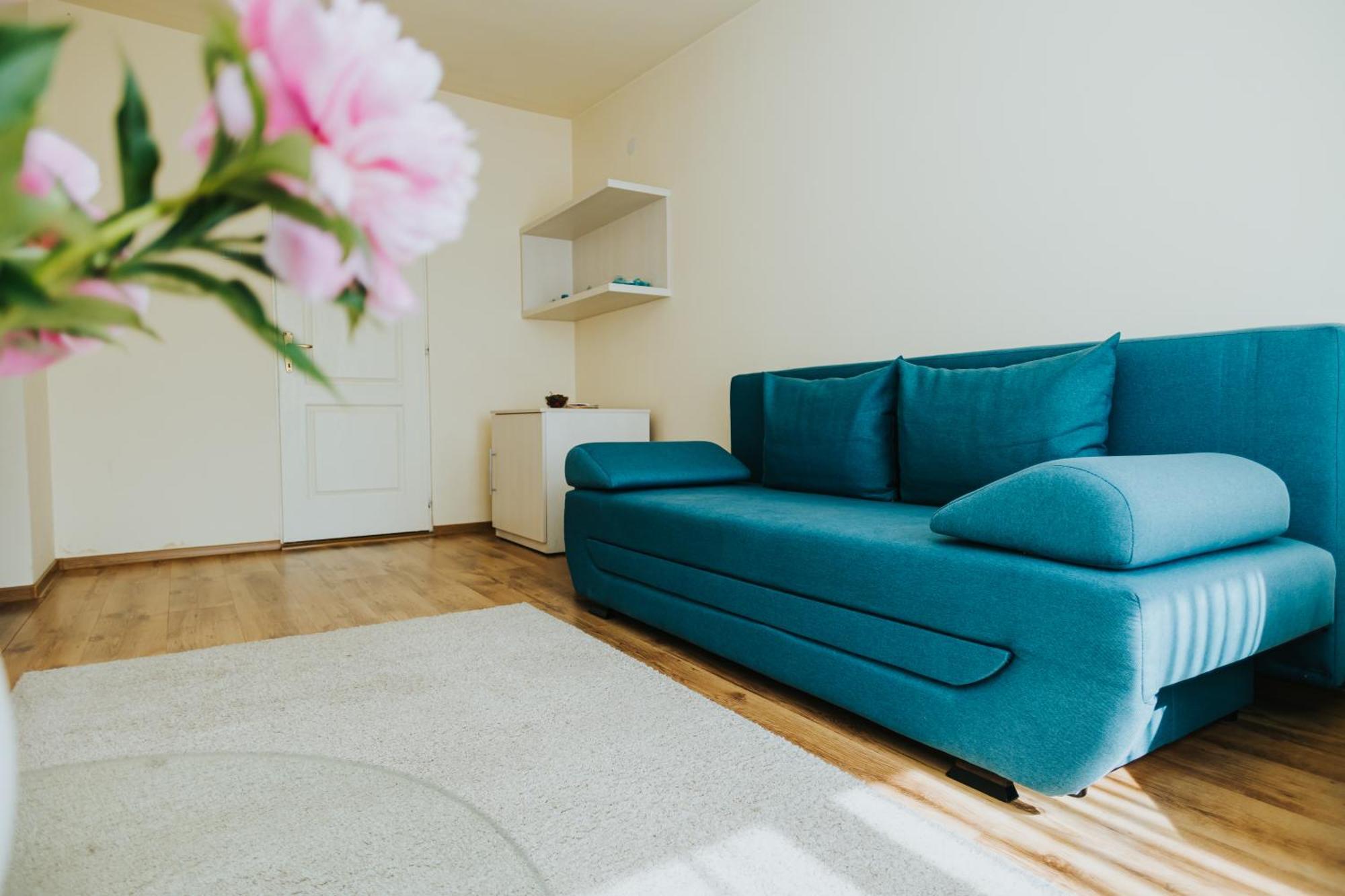 Camelia'S Cozy Place Baia Mare Exterior photo