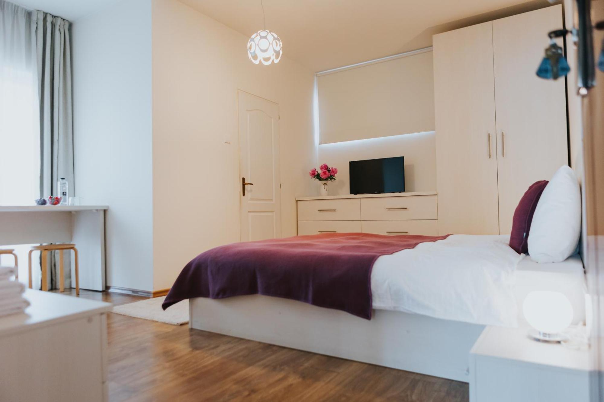 Camelia'S Cozy Place Baia Mare Exterior photo